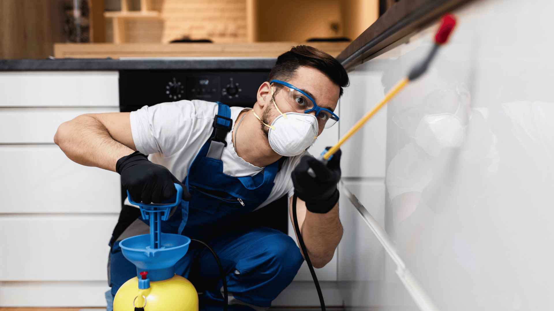 High-Quality Commercial Pest Control Services in Sydney