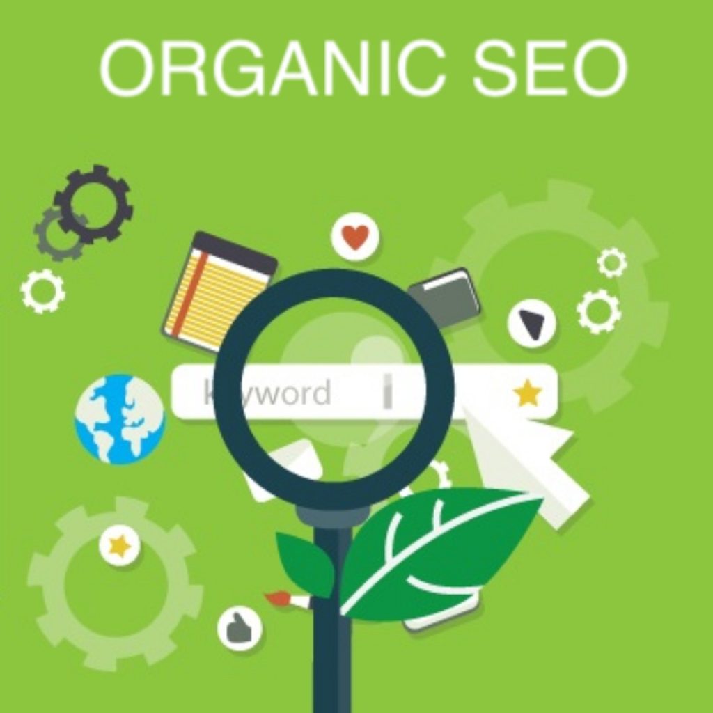 organic seo image